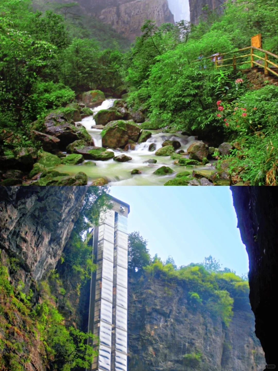 重庆秋天冲武隆！2天玩疯了