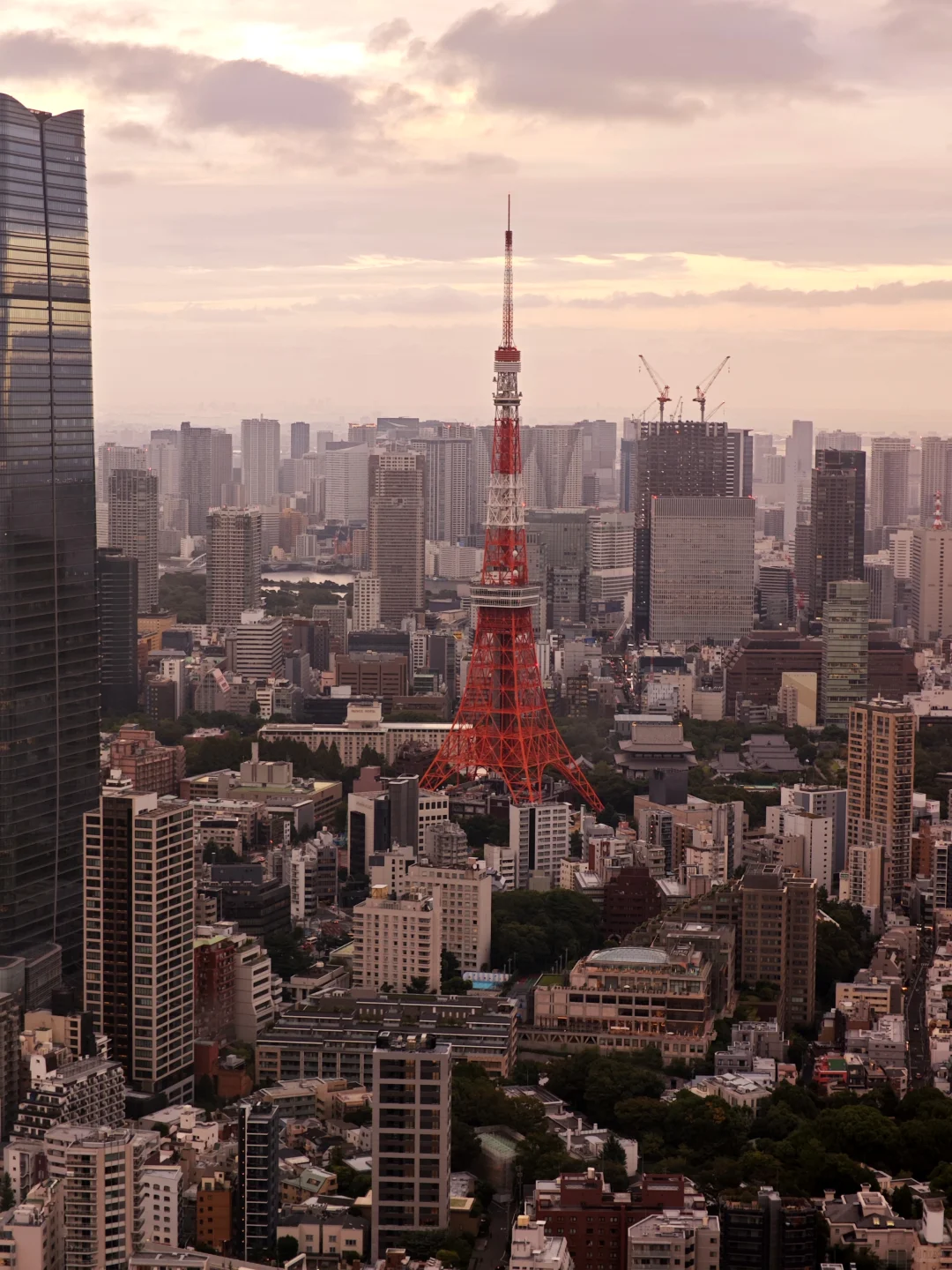 东京 | 第一次来如何两天逛完必去点