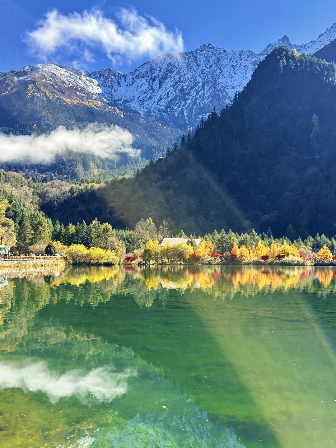 我在毕棚沟看到了此生最绚烂的秋天！！live图