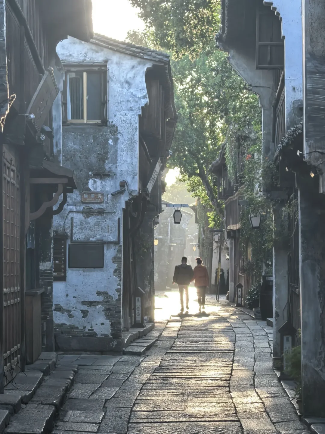 来乌镇不住景区里你糊涂啊！555💰俩人