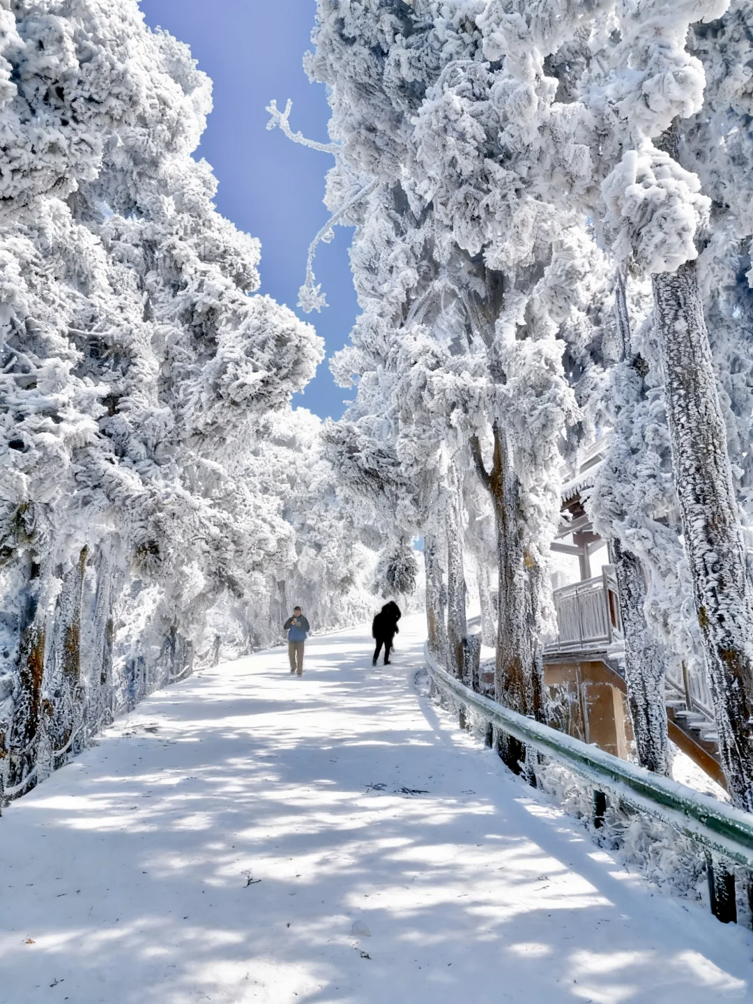 推荐个广东人最省时省钱的赏雪地:南岳衡山