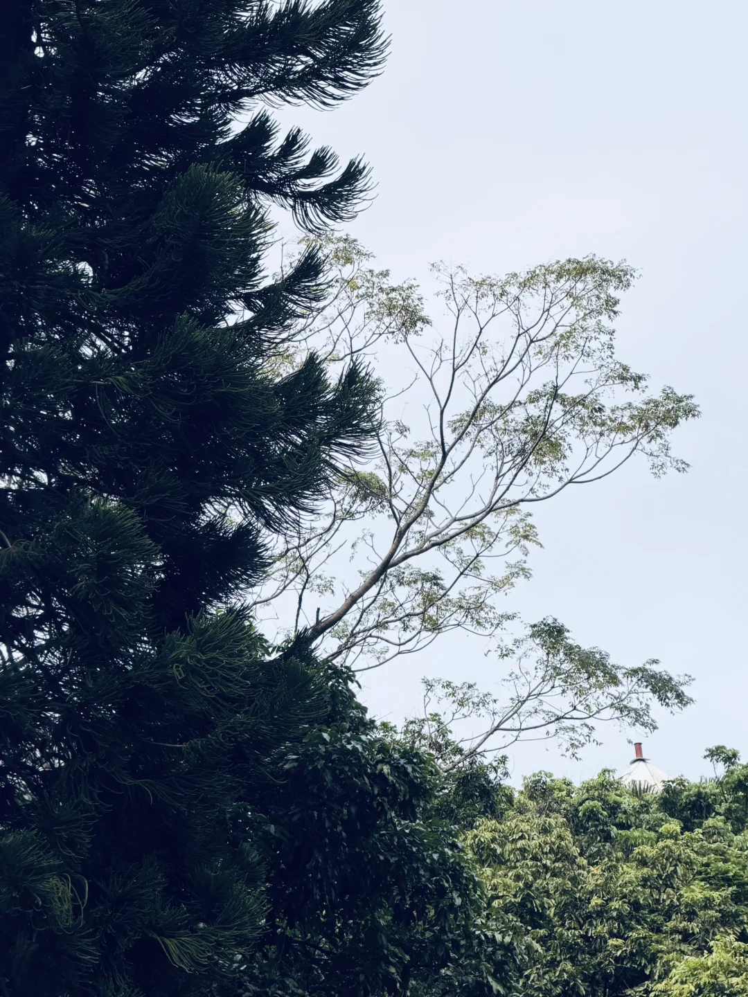 慢下来吧🍂用🧠走出去