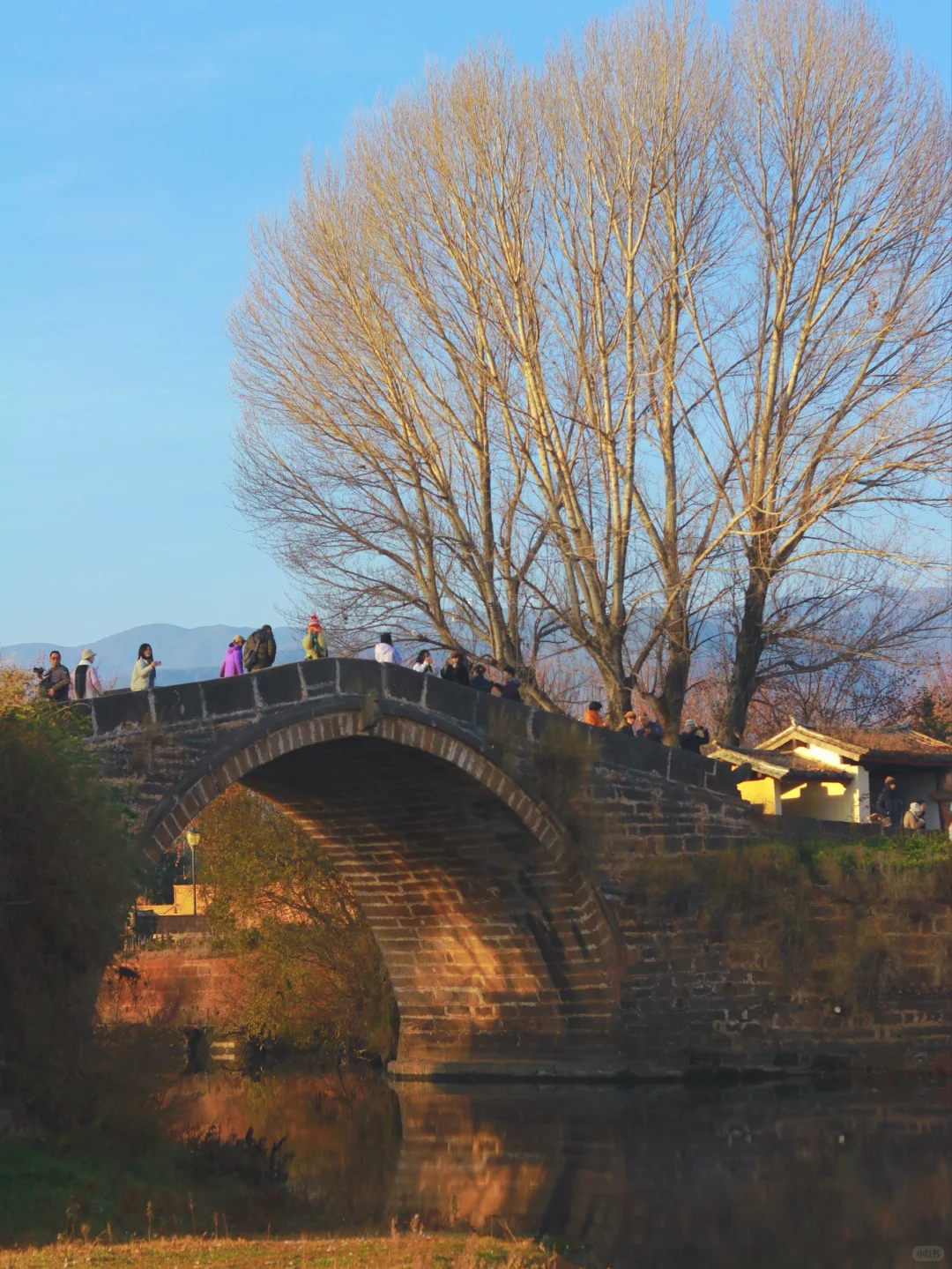 接下来的大理🍂才是冬日里的人间理想！