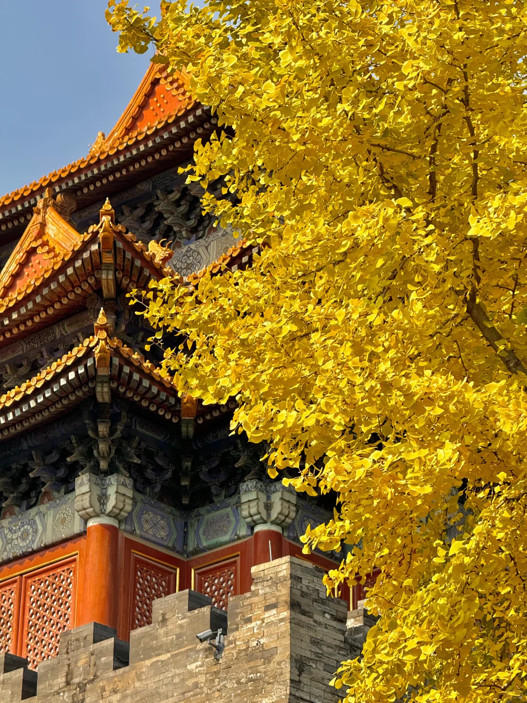 答应我,本周来北京一定走这条路线🍂11.6版