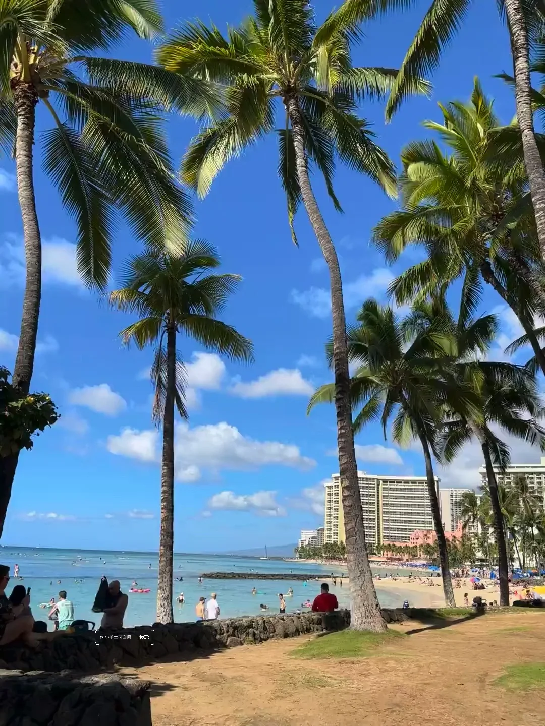 11.12📍夏威夷受罪已回,跟xhs说的不一样😅