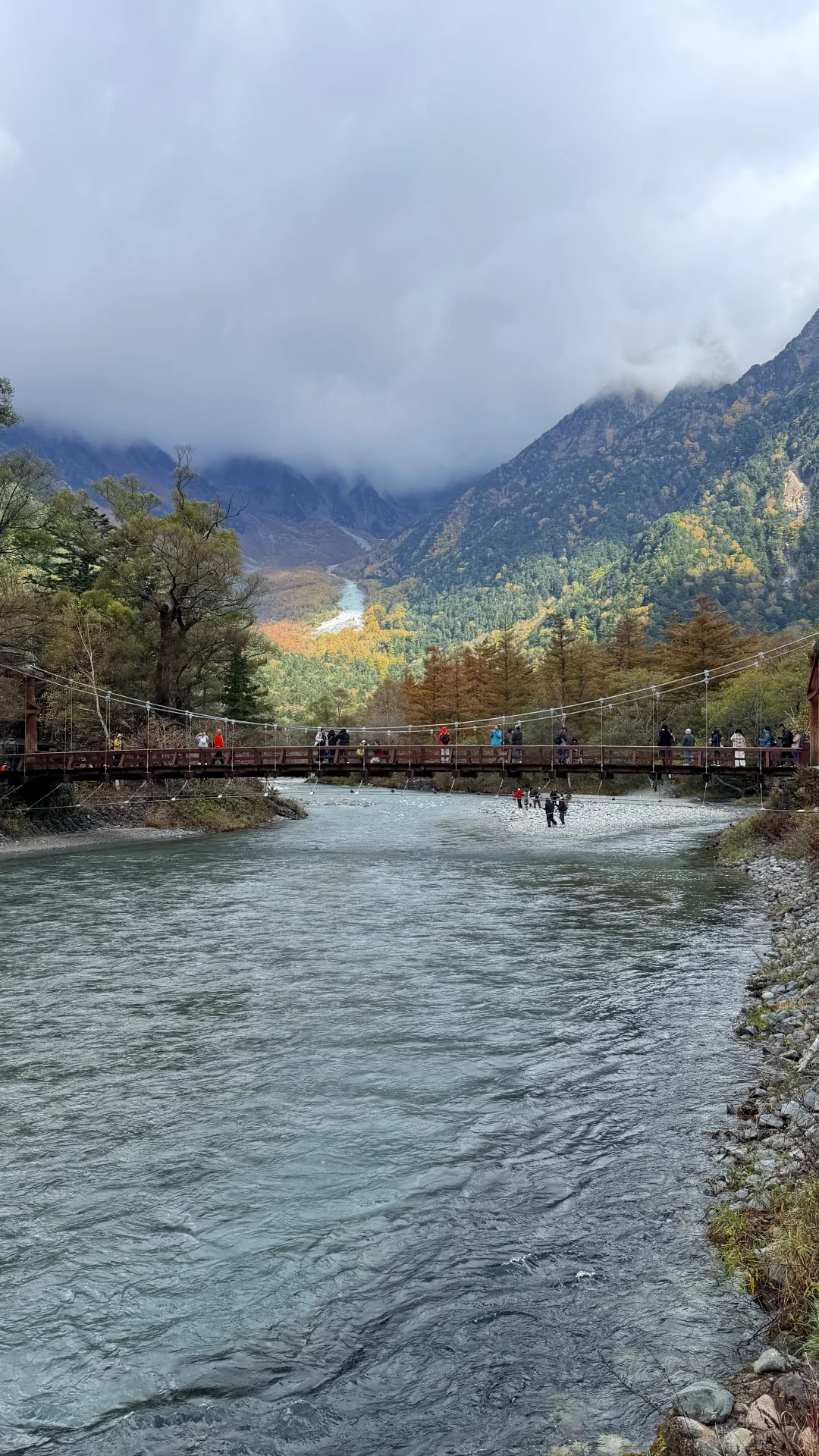 用全屏live打开上高地的秋天🍁