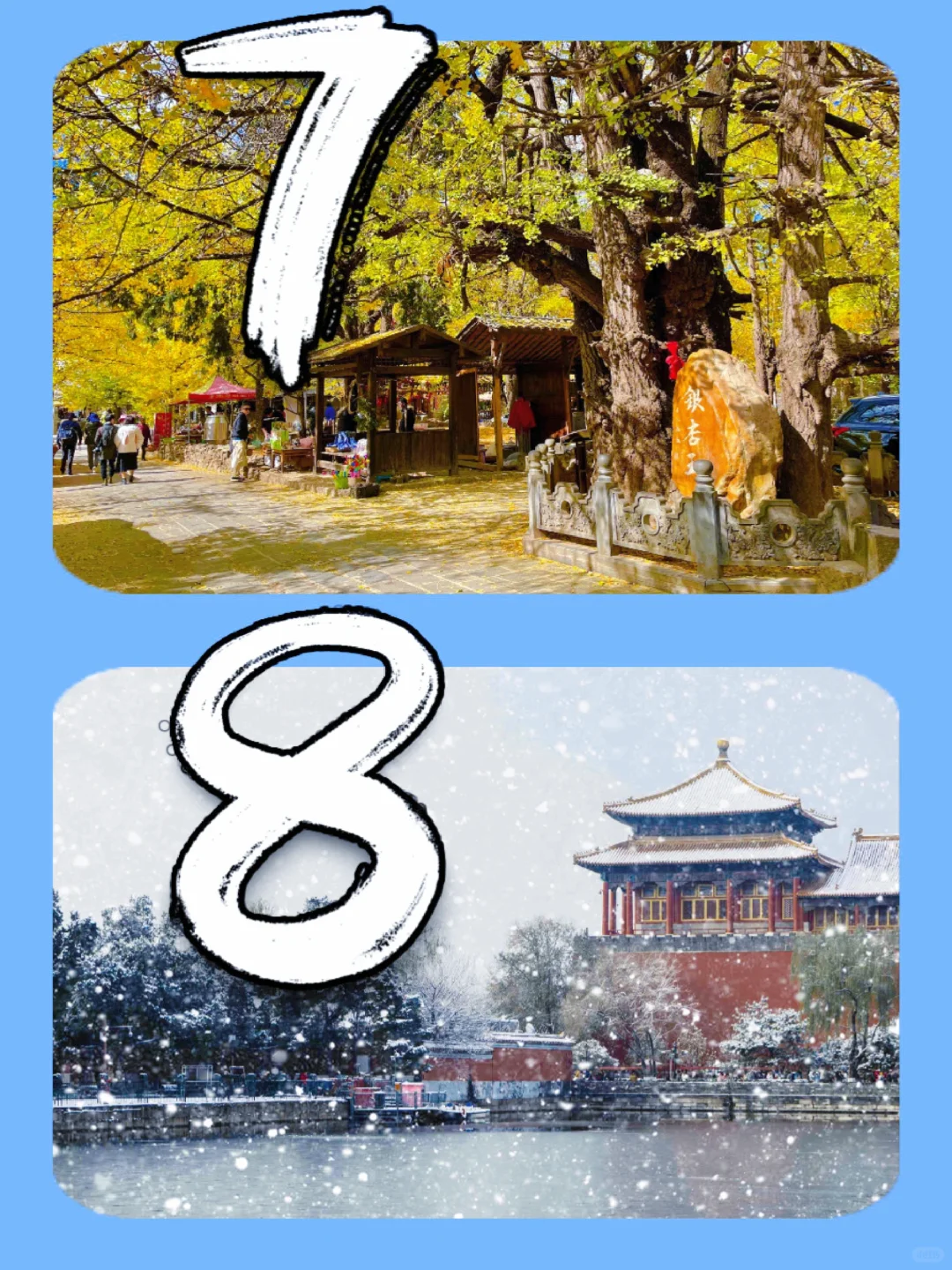 11-12月最适合去哪？