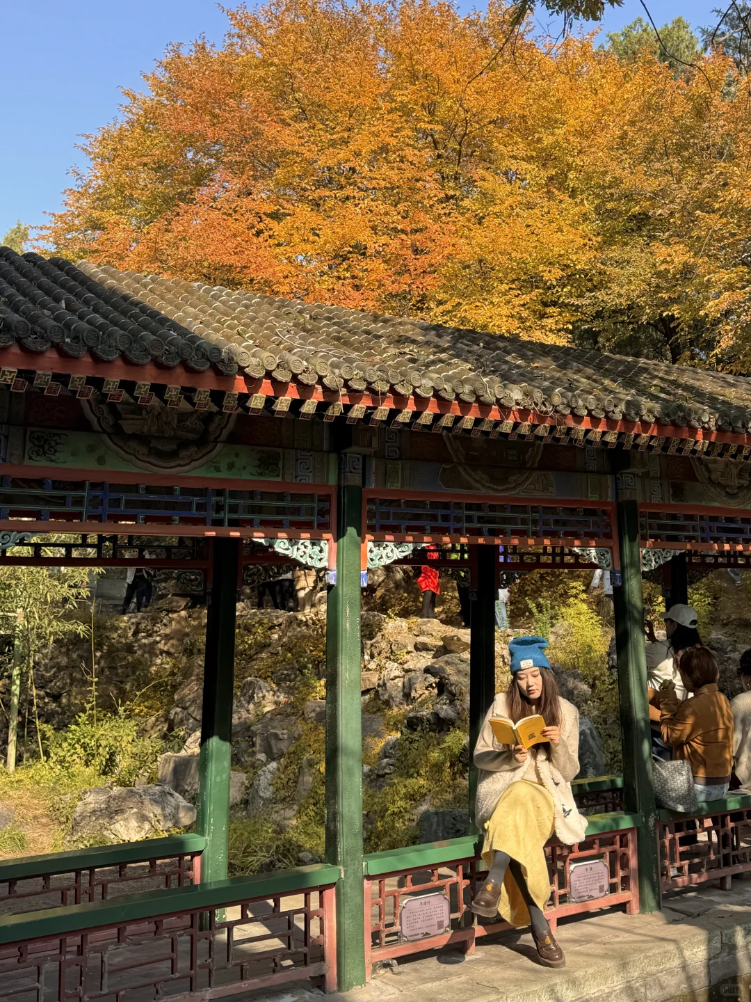 11.5实况!!颐和园油画般的秋景!杀疯了!🍂🍁