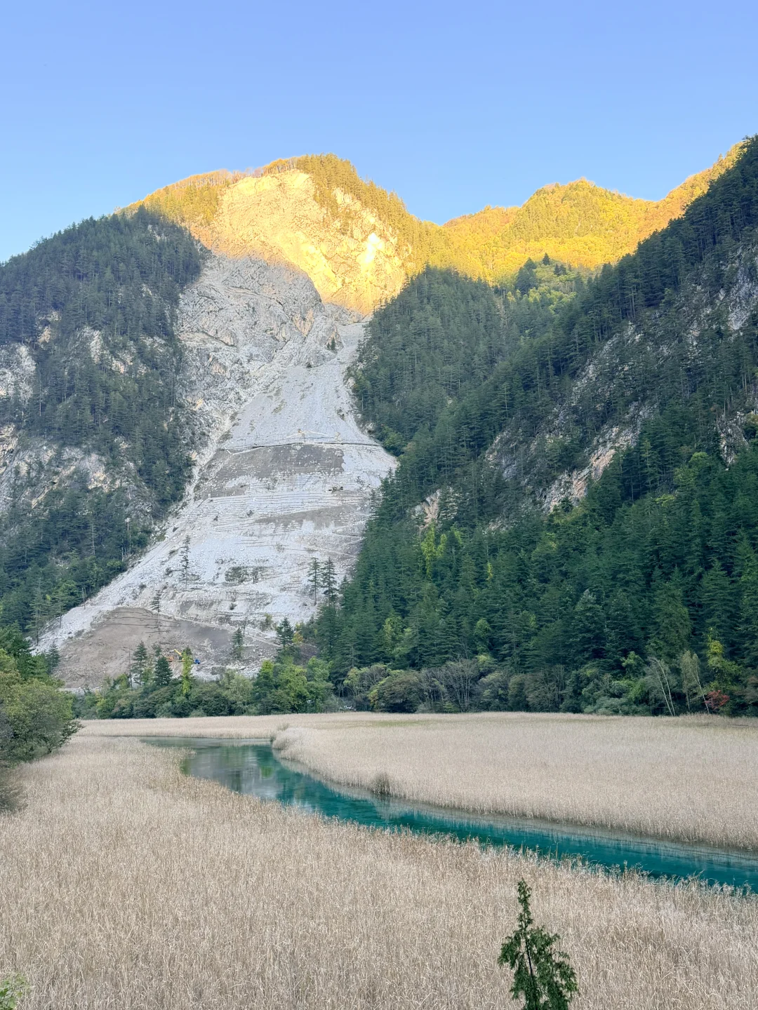 10.27九寨沟豪赌成功！红叶美哭｜Live实况