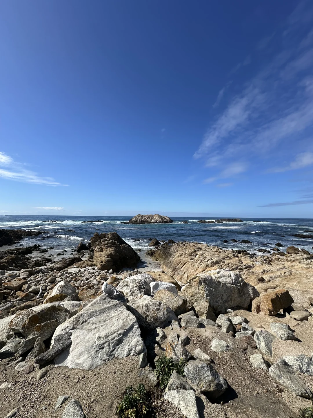 11.11📍蒙特雷已回，live实况+真心建议🤩！！