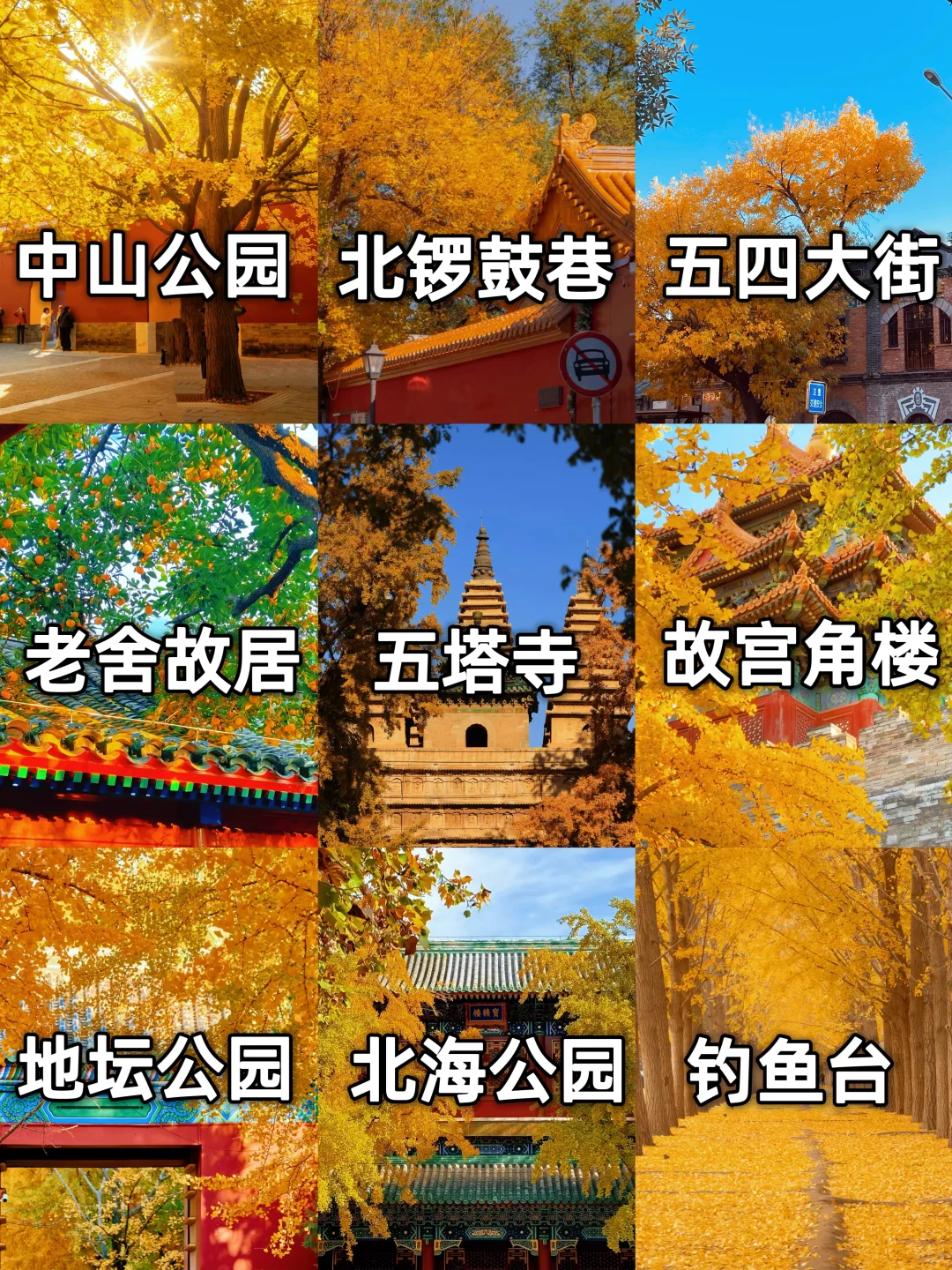 北京九大赏秋地合集！错过还得在等一年🔥
