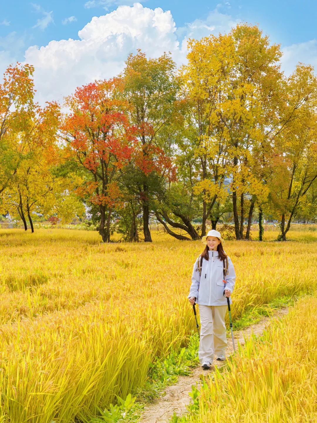 塔川实拍🍁皖南秋天可以冲啦‼️附拍照攻略