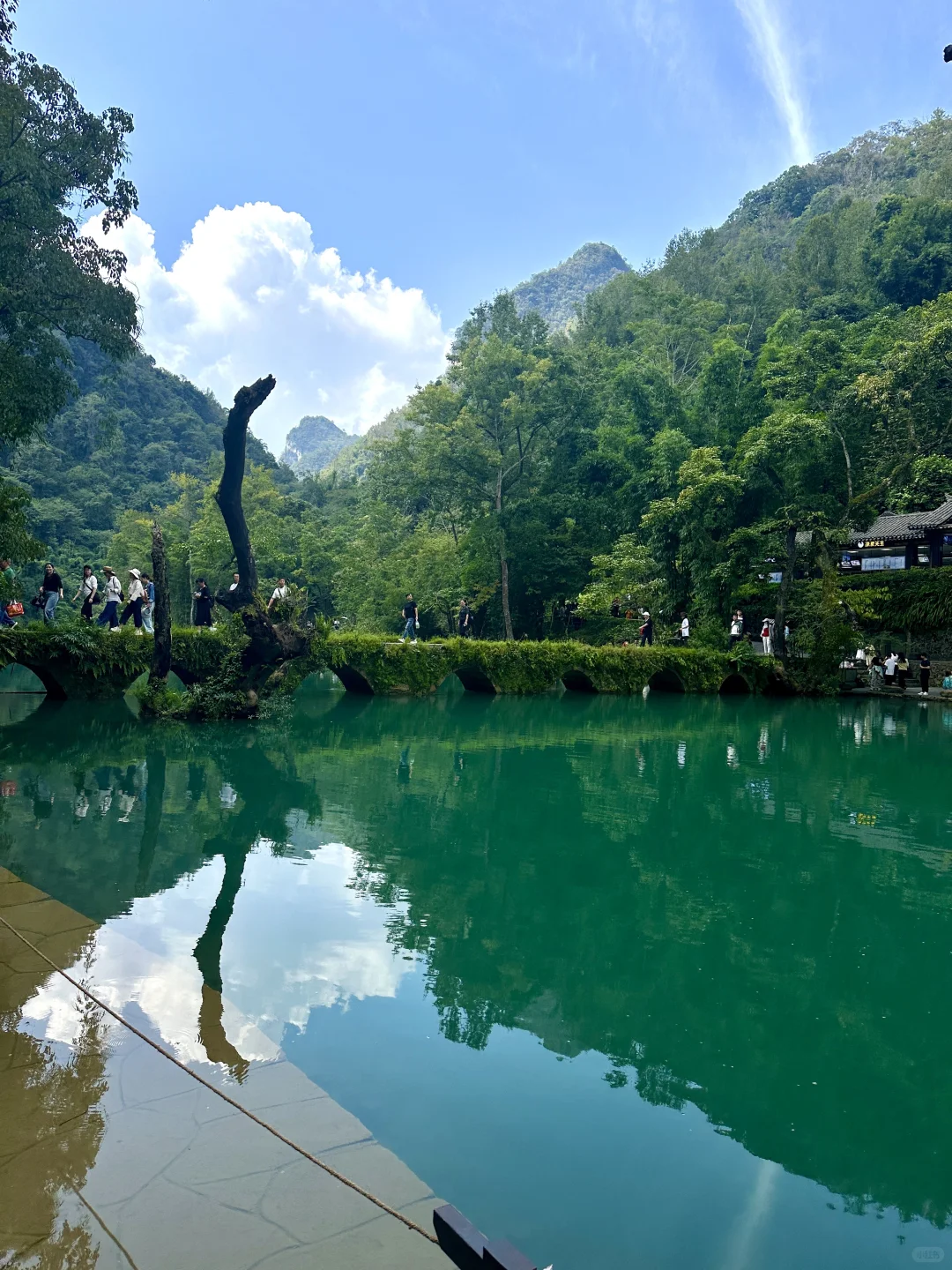 荔波小七孔｜无滤镜live图直出景色图来了🍃