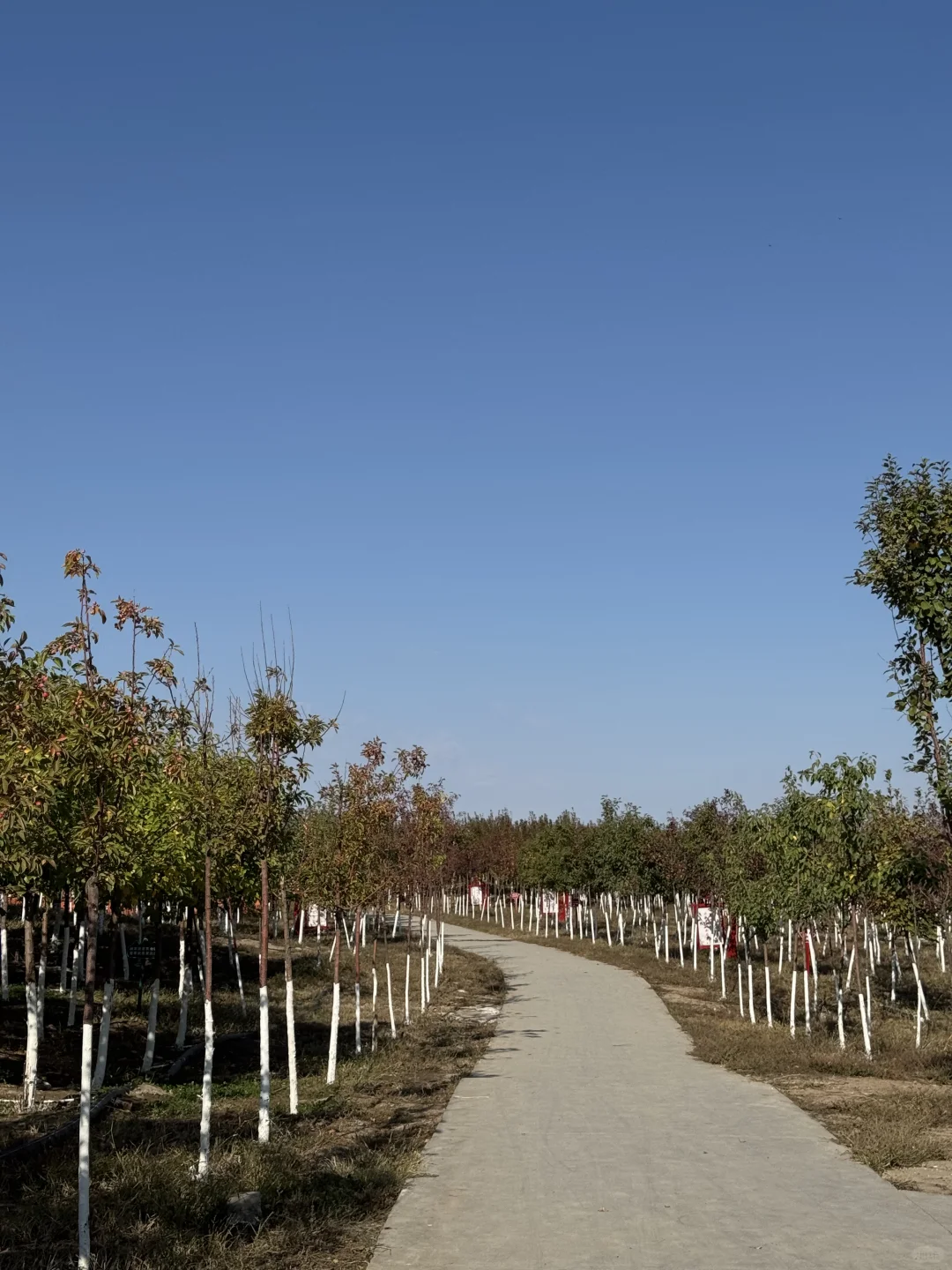 五家渠｜海棠山风景区