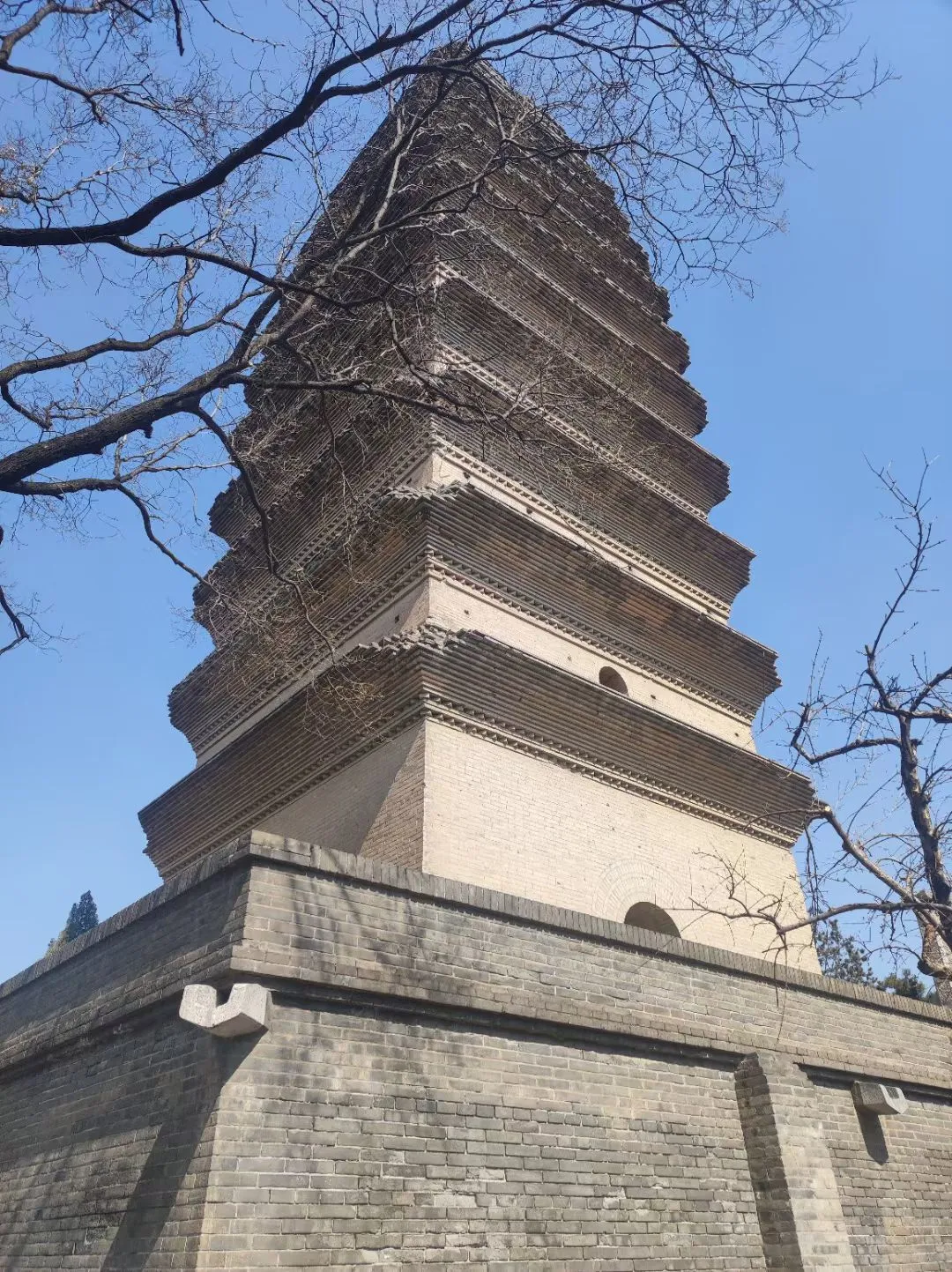 去了，真的超好看！！！