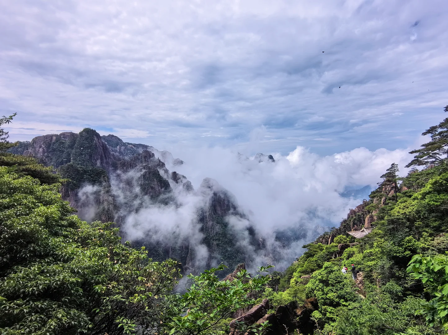 ✨黄山|人间仙境爬黄山全攻略,别错过这些