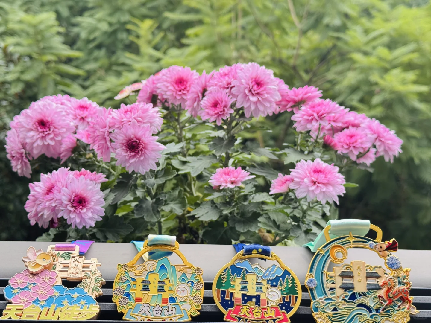 🍂秋假免票+三款奖牌!成都天台山喊你冲