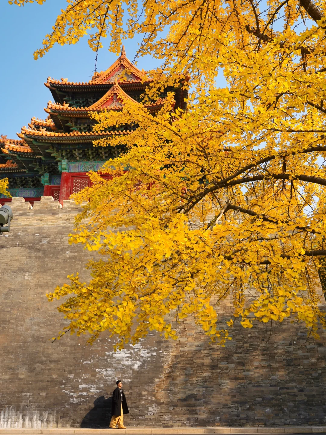 答应我,本周来北京一定走这条路线🍂11.6版