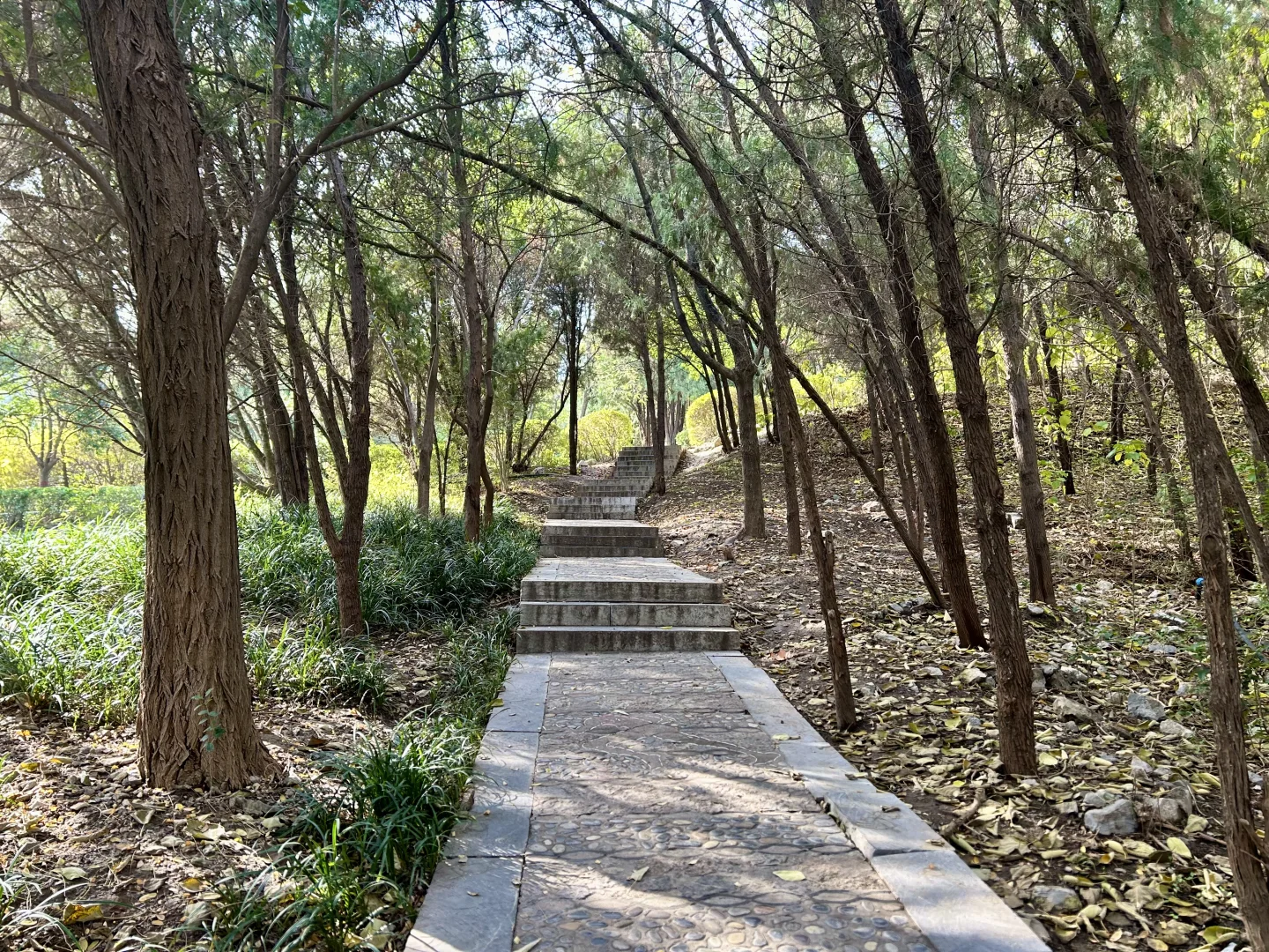 秋季再访免费元宝山~