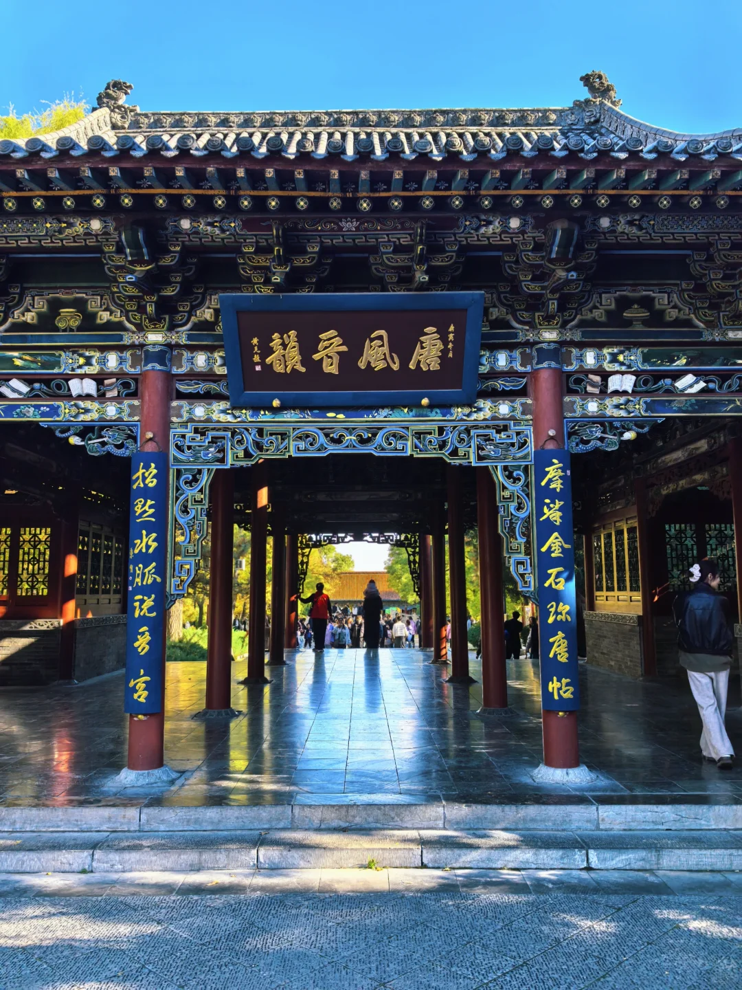 晋祠博物馆|银杏不负秋