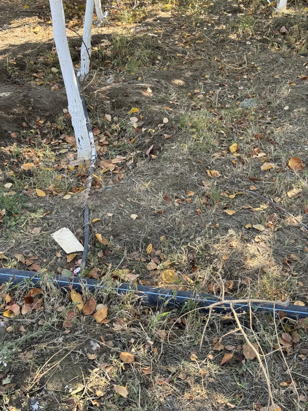 五家渠｜海棠山风景区