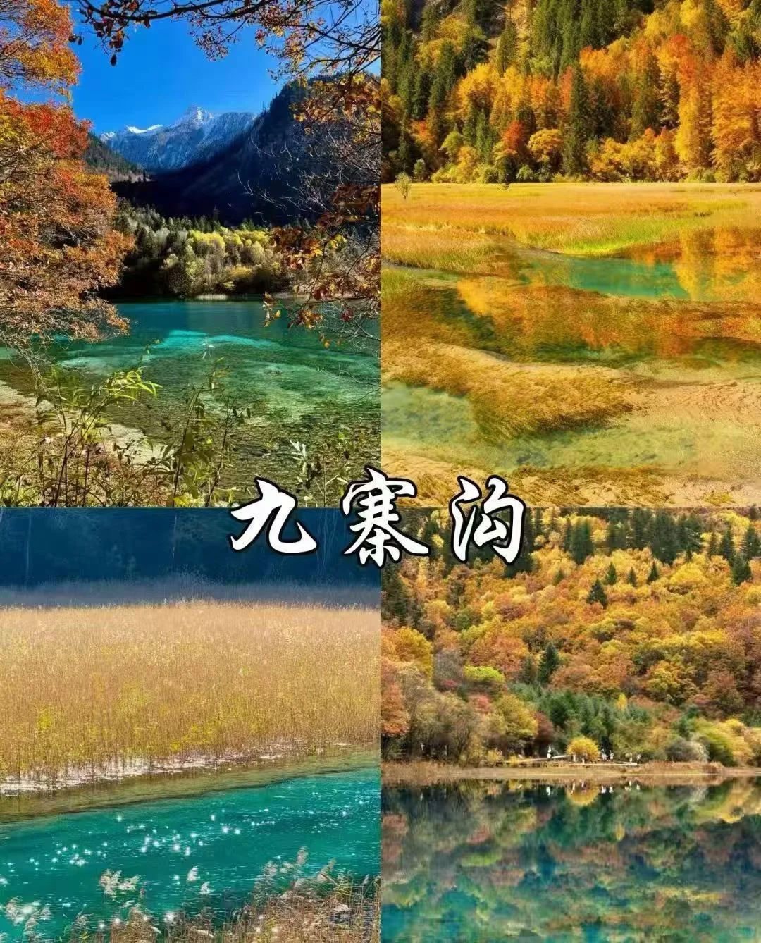 九寨沟景区关于淡季旅游接待的通告