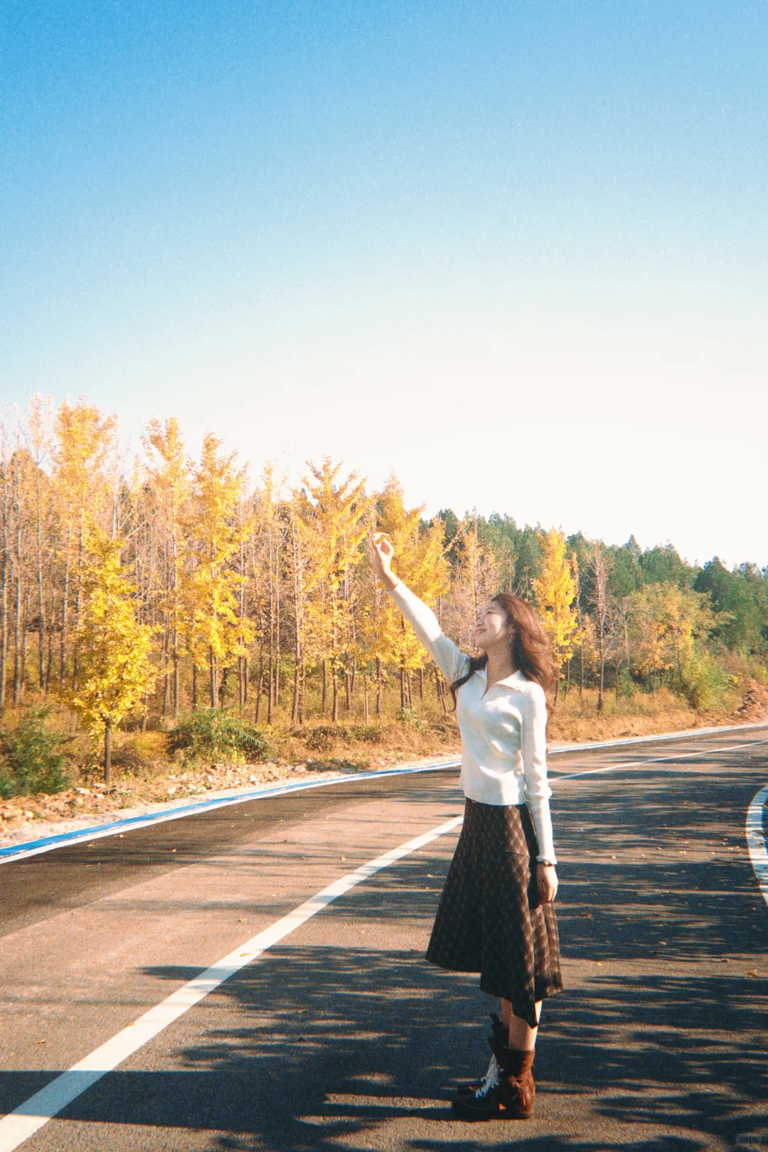 秋天是春天的倒叙