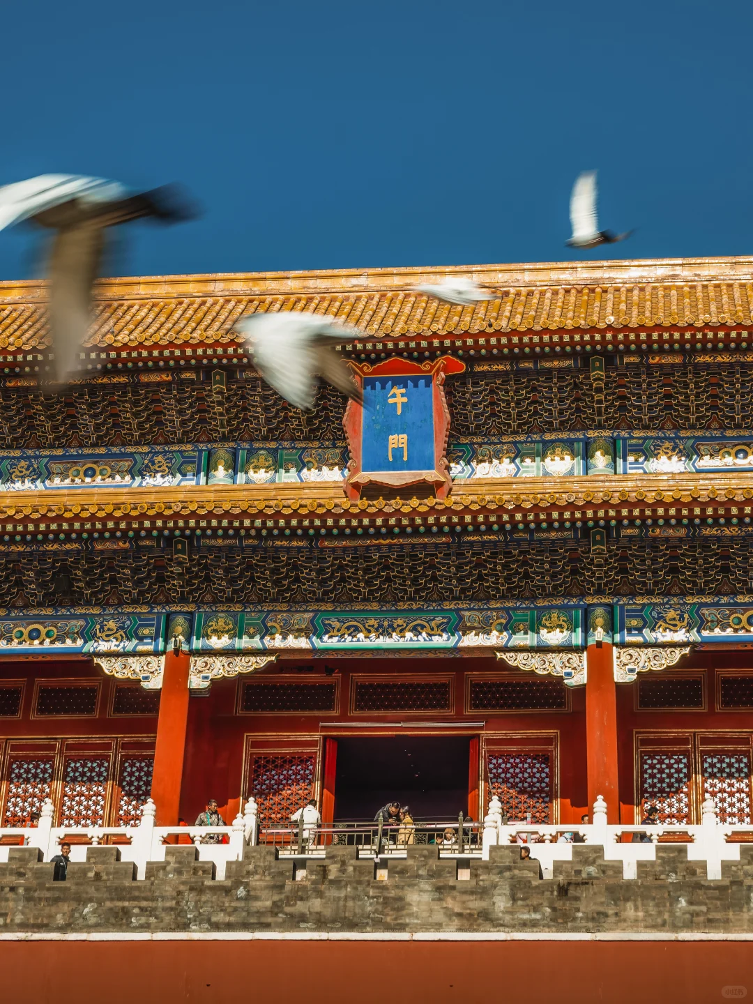 接下来的故宫,是一眼千年红墙金叶的秋🍂