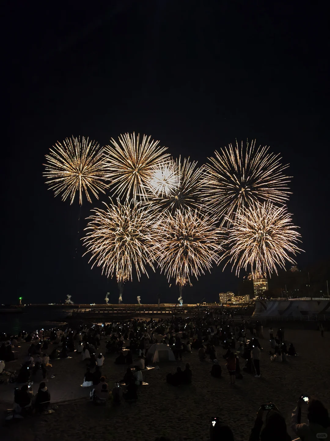 🇯🇵关东旅游攻略|八天单人不到5k