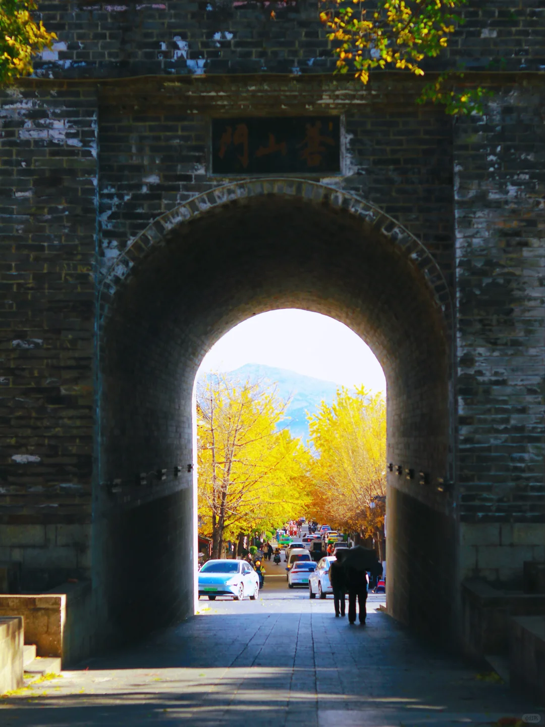 接下来的大理🍂才是冬日里的人间理想！