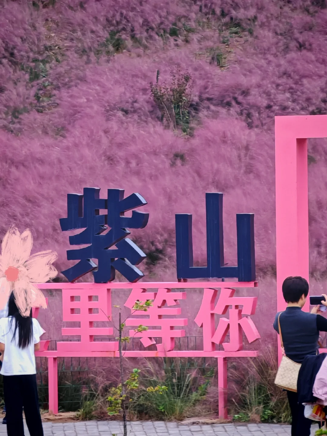 邯郸🥰关于粉红色的一切✨