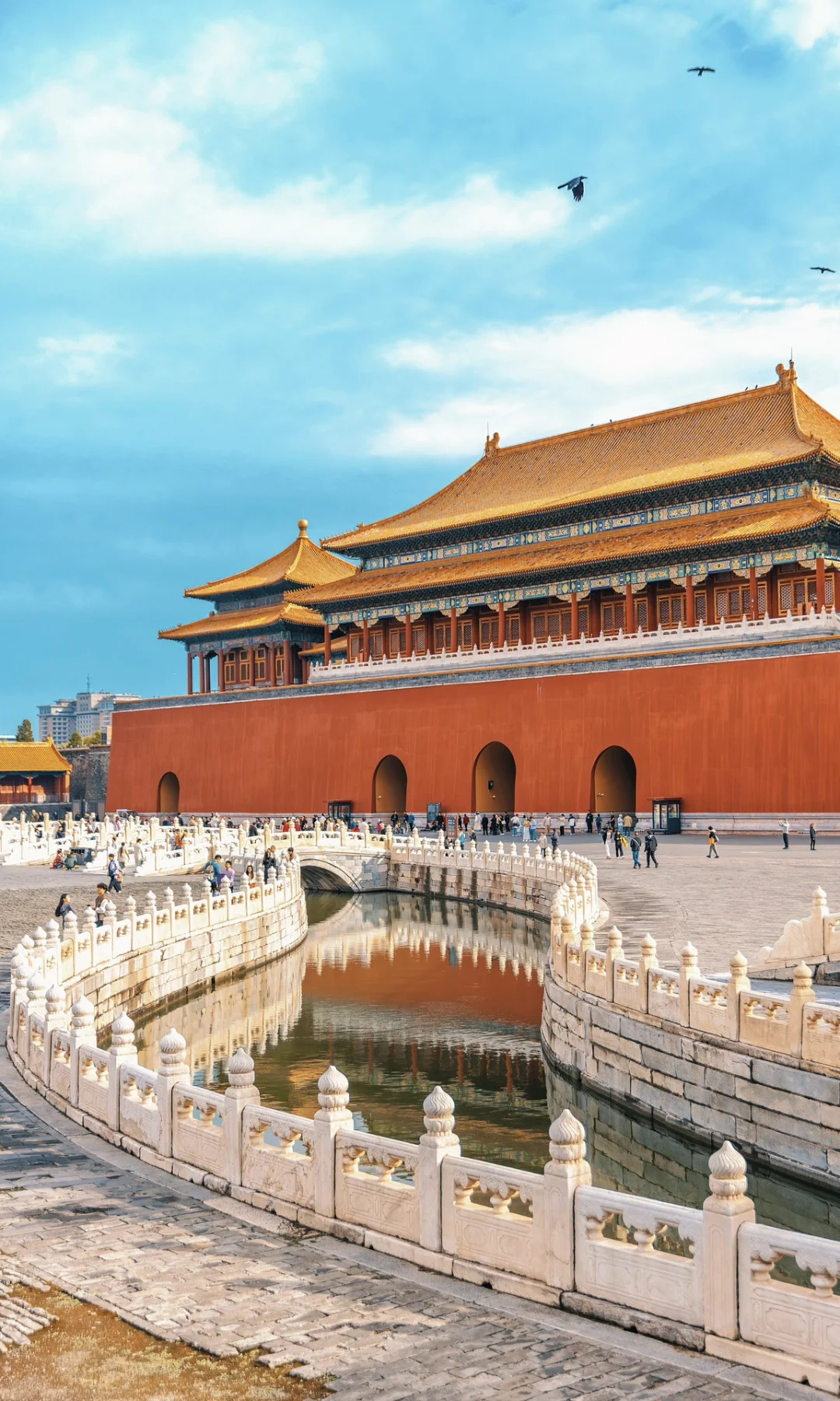 打卡故宫经典机位|果然老祖宗是懂审美的!