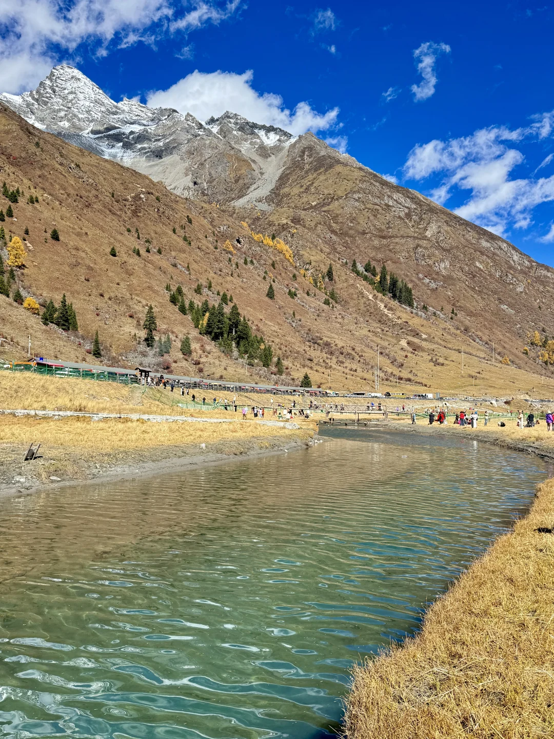 11.6📍理小路爆美！！川西是史诗级的秋天live