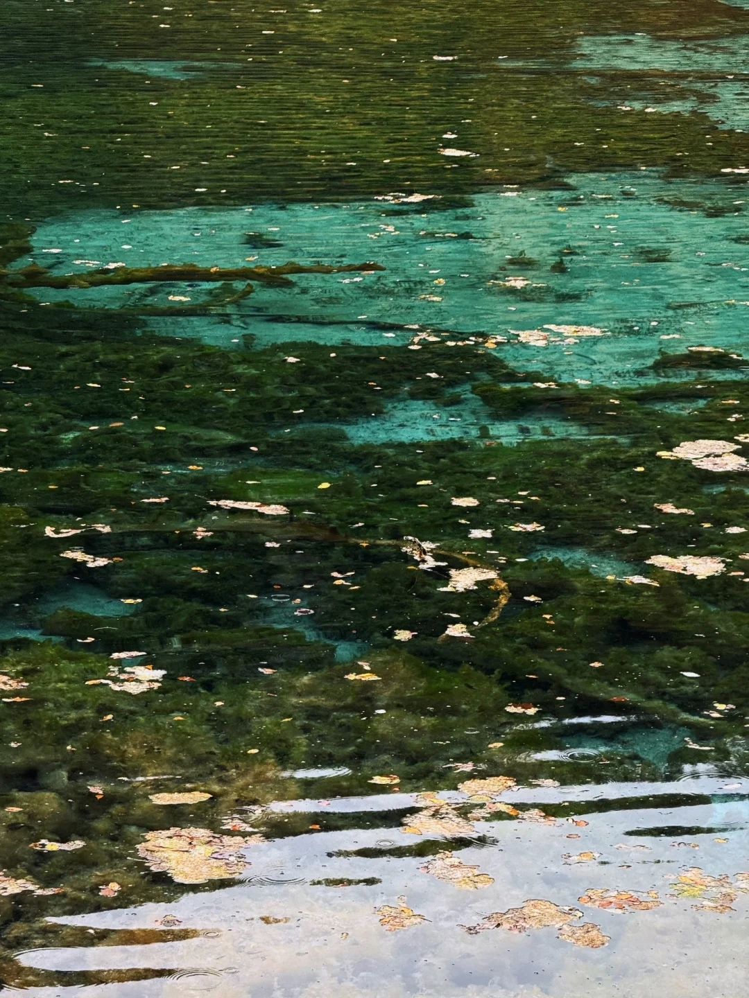 说一万次“太美了”