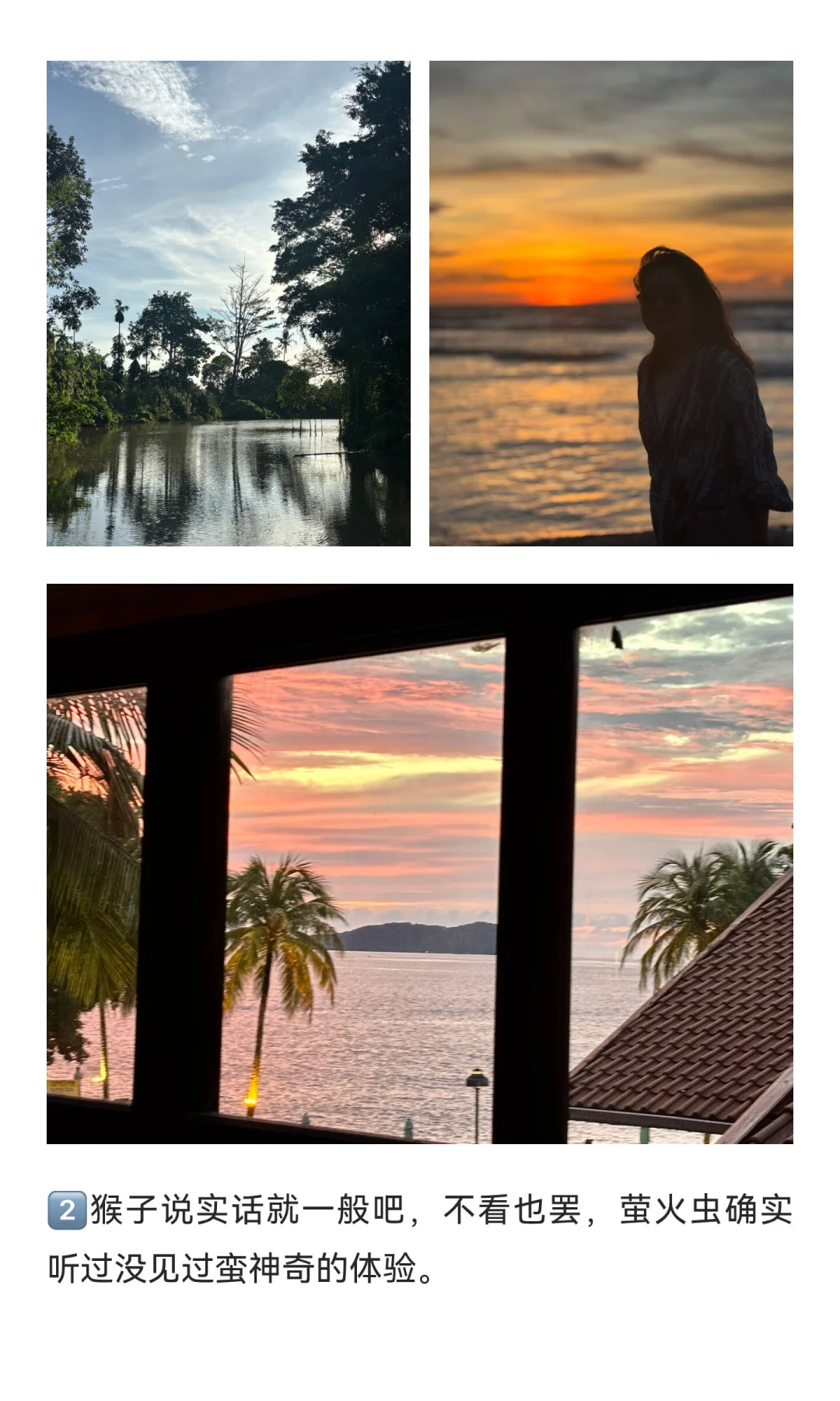 11.5-11.9亚庇已回！真心码字诚不欺众