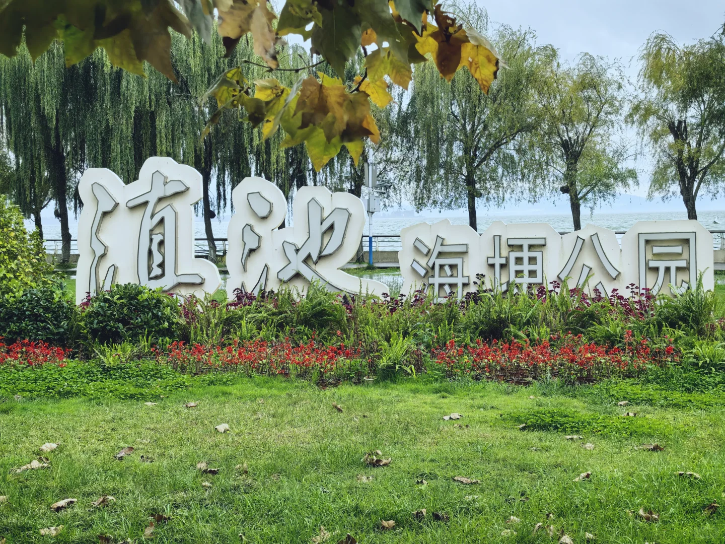 我知我喜乐，纵情跋涉”✈️