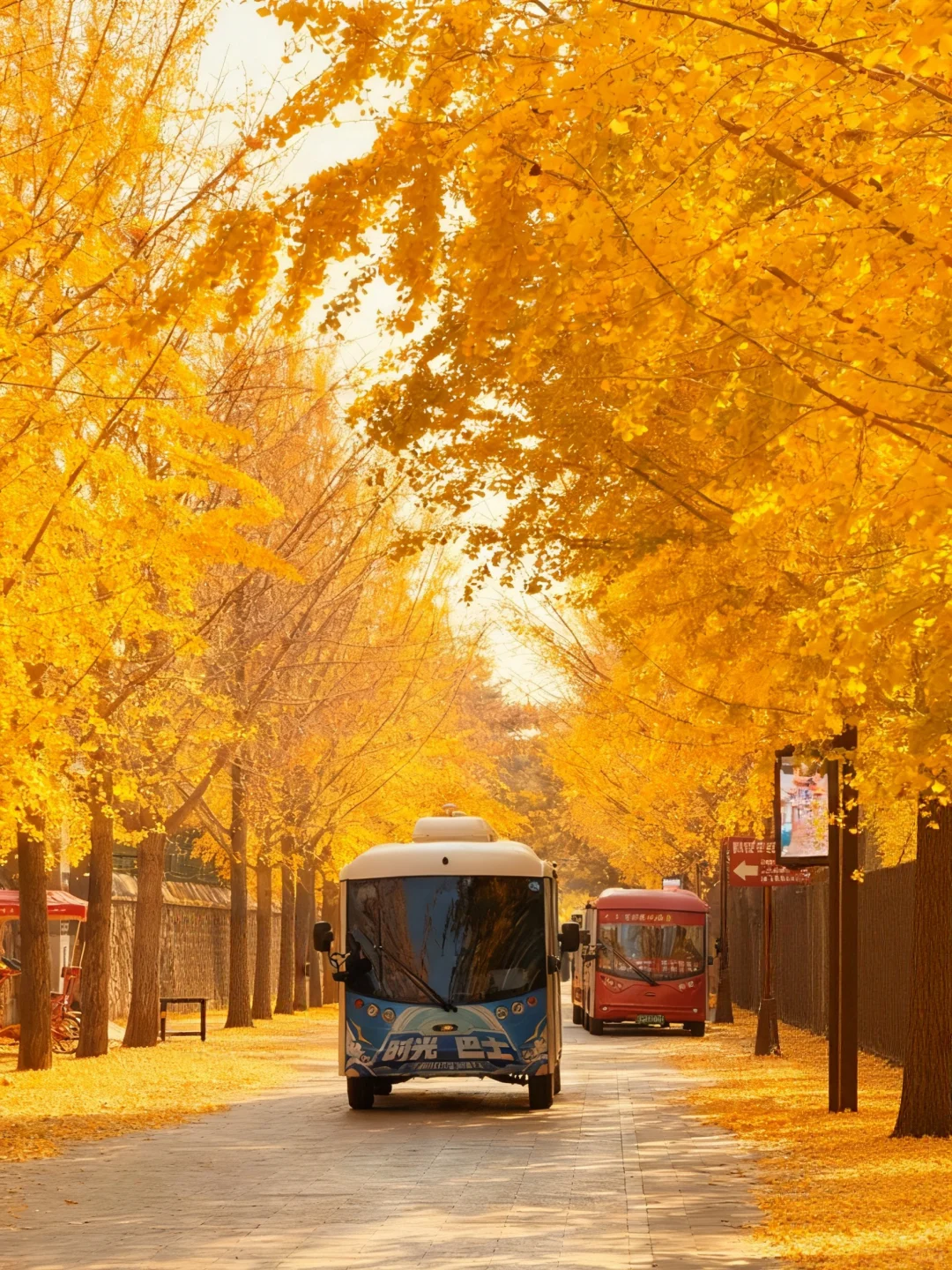 不愧是北京前三的银杏大道🥹……