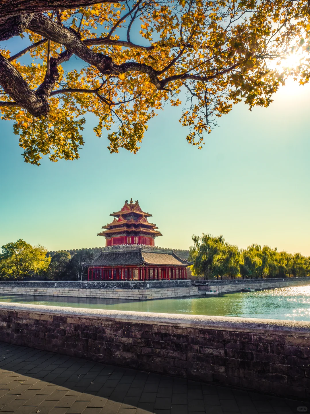 接下来的故宫,是一眼千年红墙金叶的秋🍂