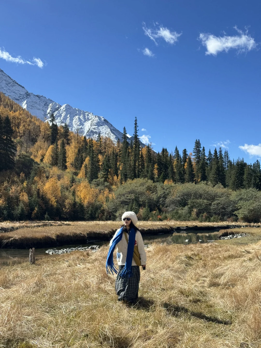 11.6📍理小路爆美！！川西是史诗级的秋天live