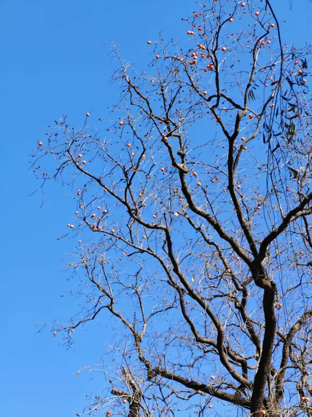 每周一山-秋山风景区