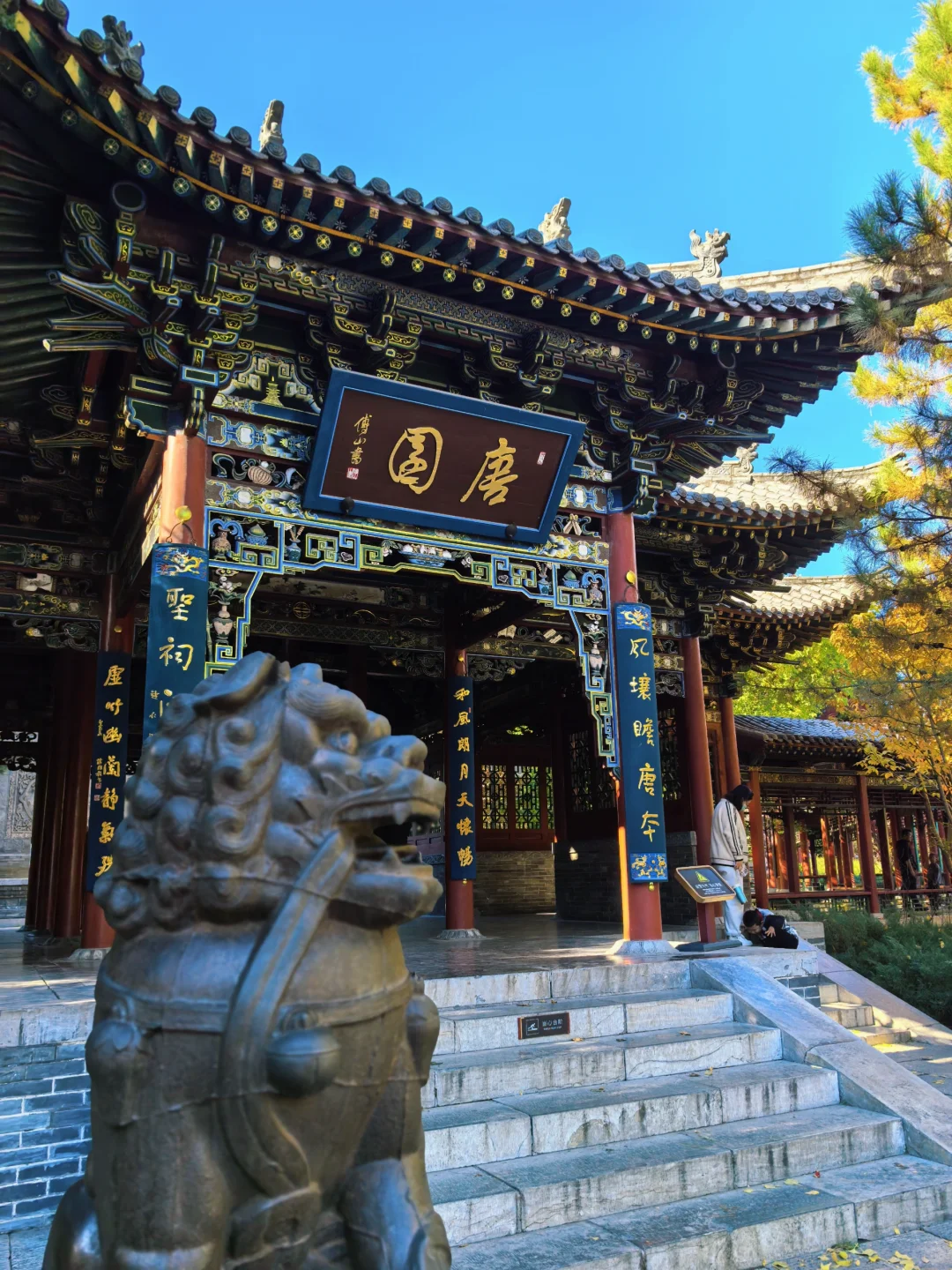 晋祠博物馆|银杏不负秋