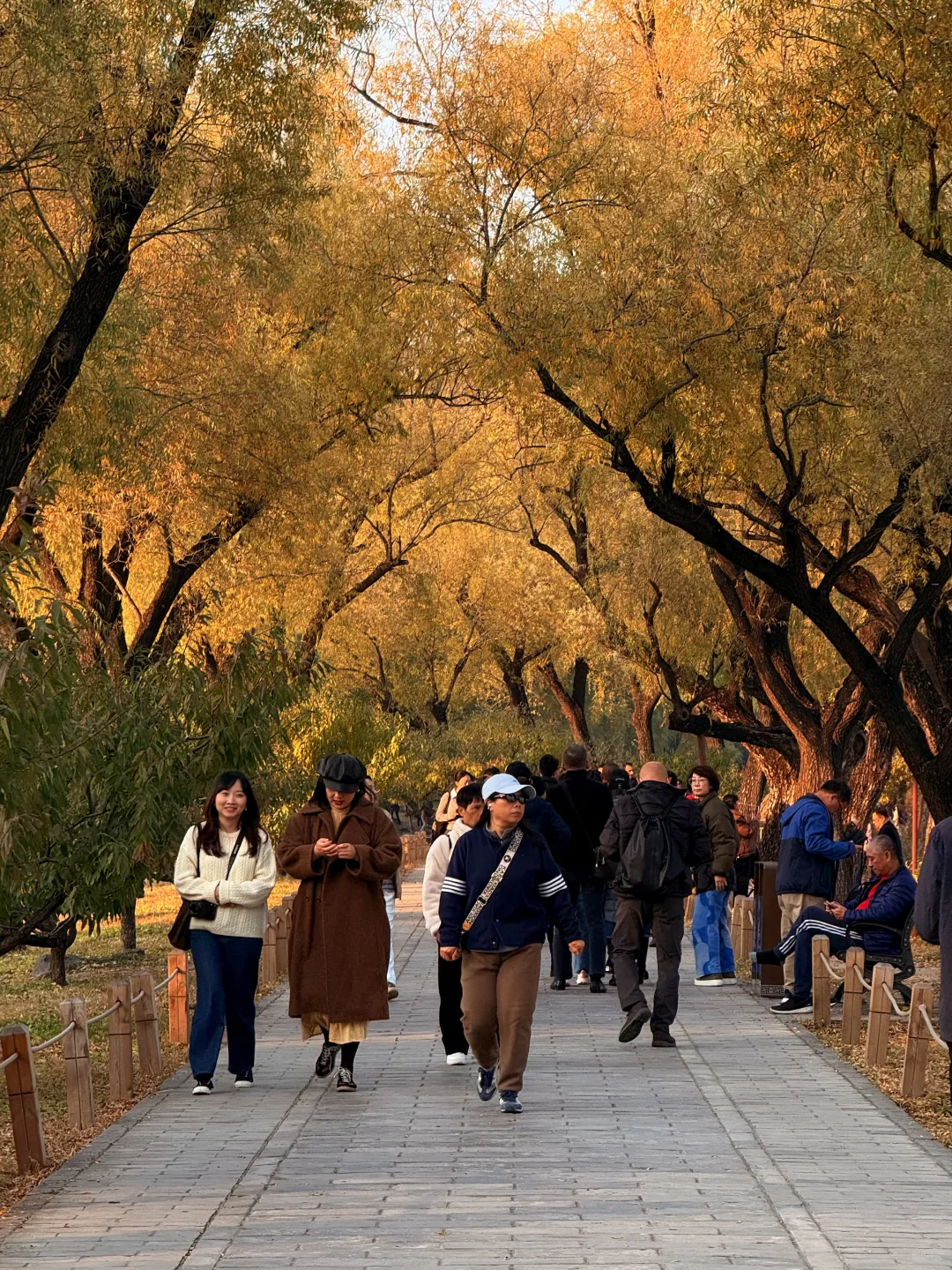 live图！！颐和园的秋天真是在画中游！！