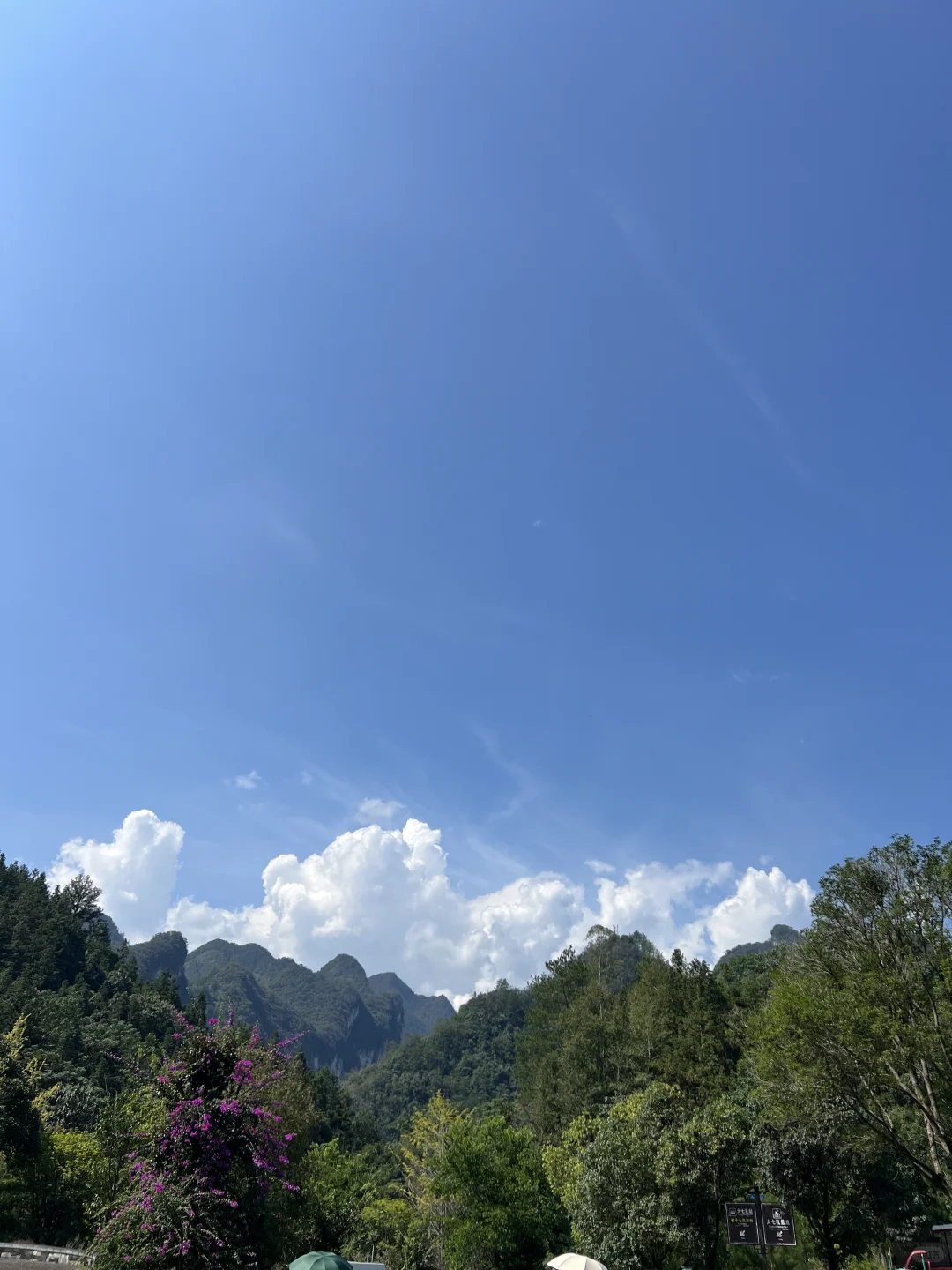 荔波小七孔｜无滤镜live图直出景色图来了🍃