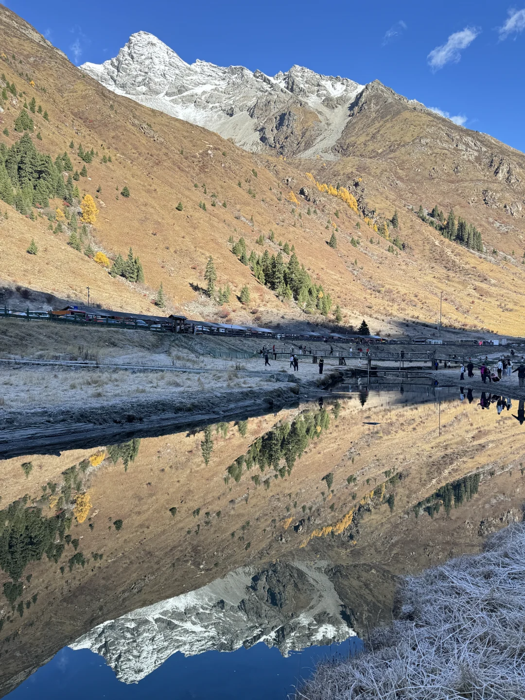 11.6📍理小路爆美！！川西是史诗级的秋天live