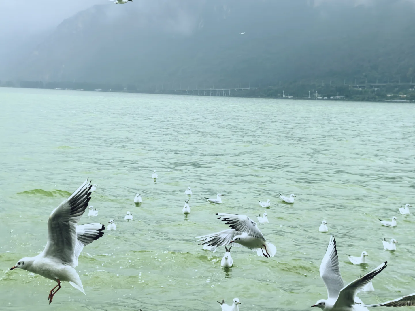 我知我喜乐，纵情跋涉”✈️