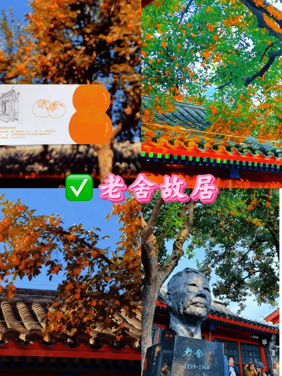 北京九大赏秋地合集！错过还得在等一年🔥