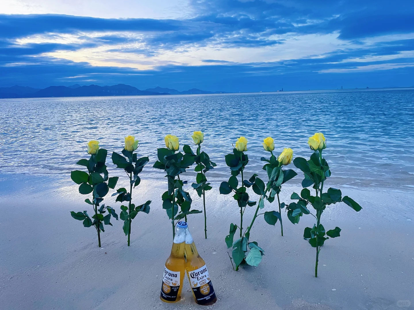 海边日出你值得拥有