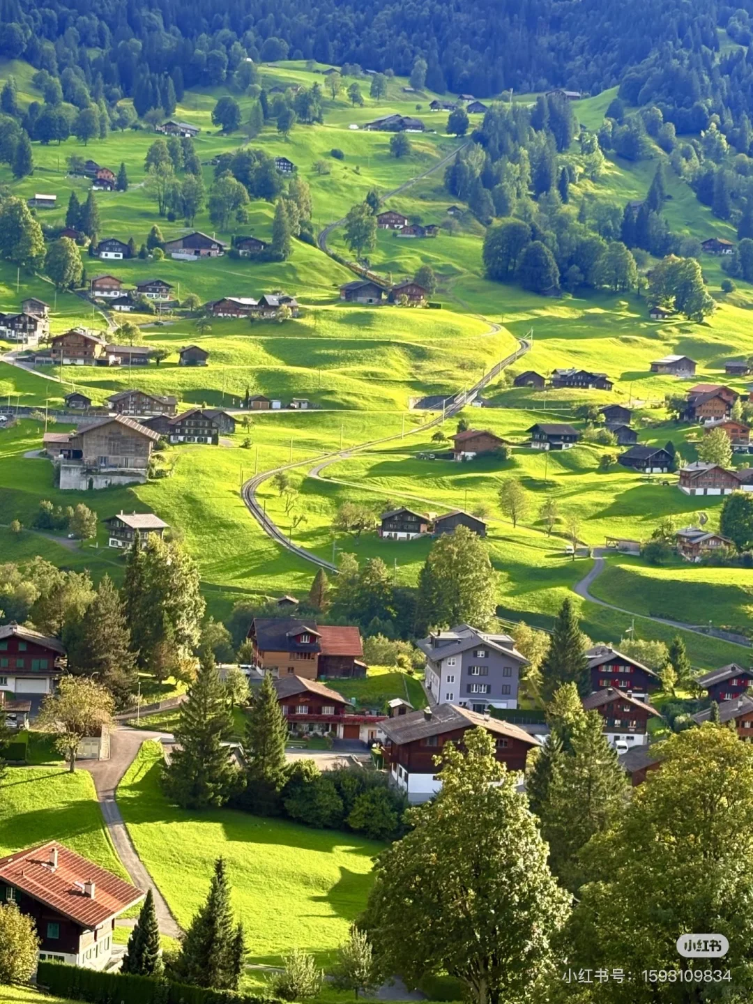 瑞士旅游求助帖🙋‍♀️