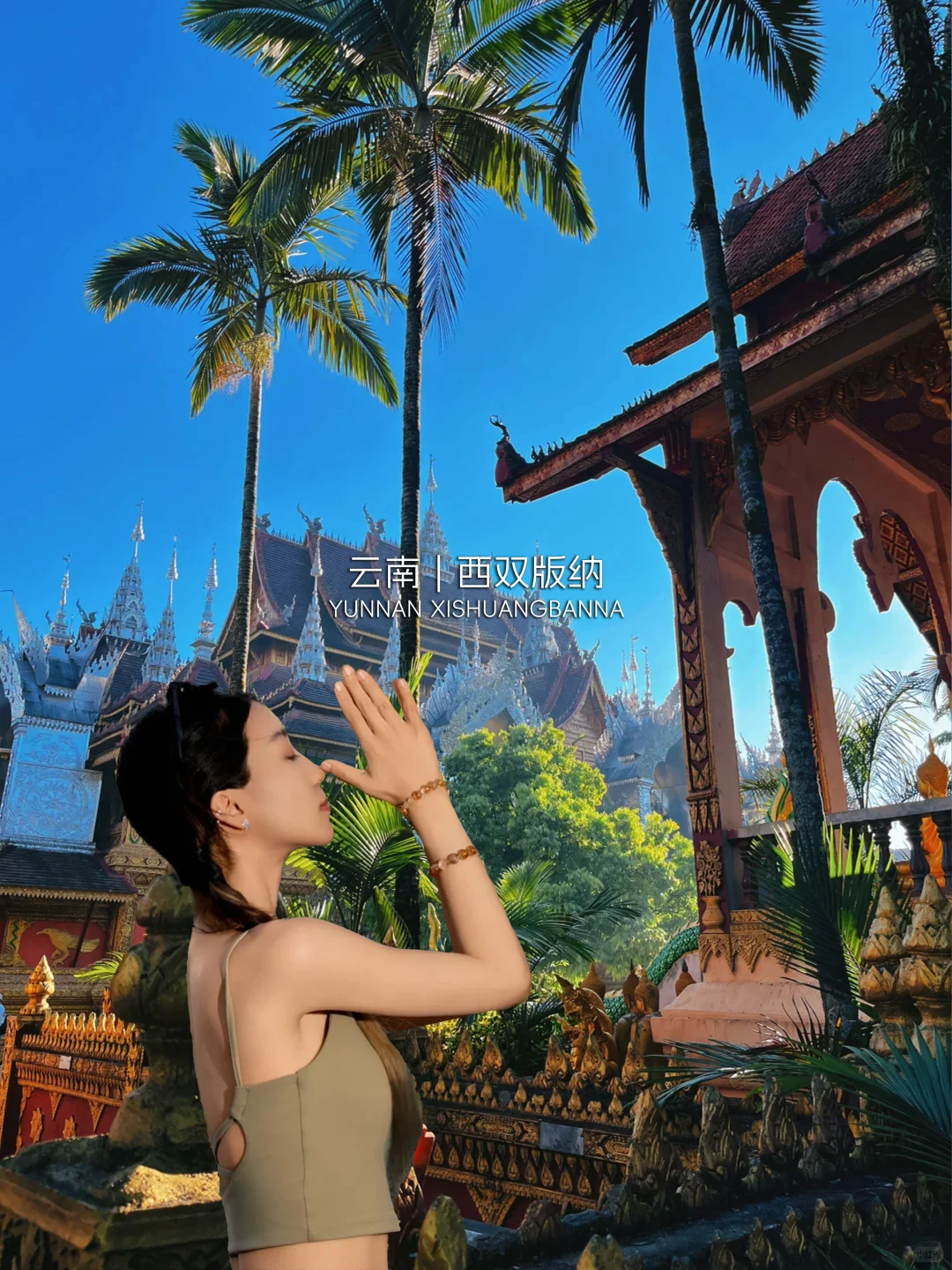 🌴 云南暖冬目的地｜腾冲/弥勒/版纳/芒市