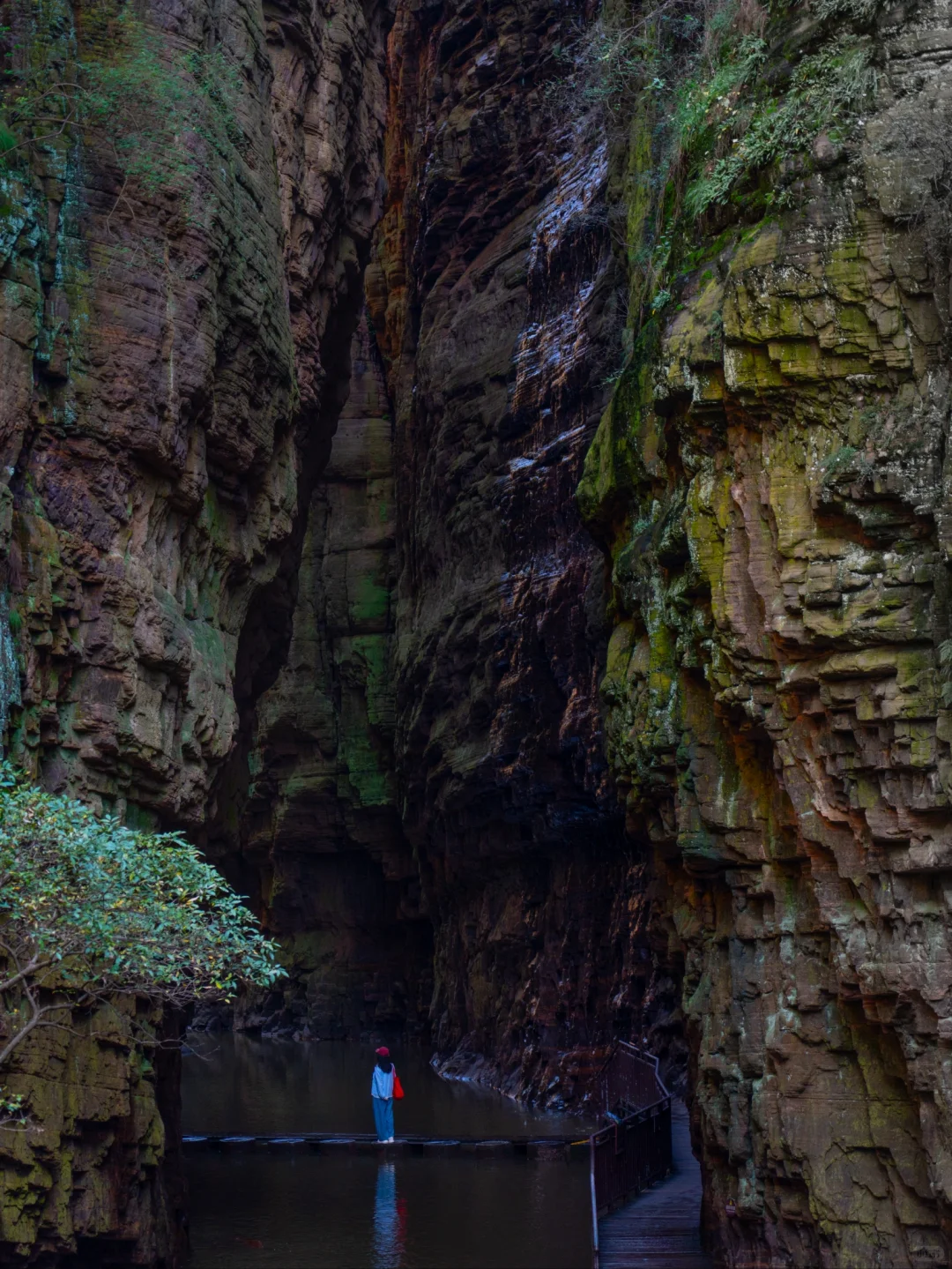 国庆没啥人❗这可能是洛阳最冷门的5A景点了